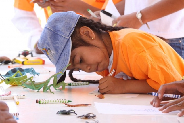 aprendiendo sobre la fauna